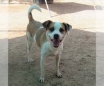 Small #2 Breeder Profile image
