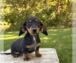Image preview for Ad Listing. Nickname: Raegan