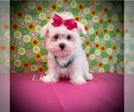 Image preview for Ad Listing. Nickname: Tiny Rhonda