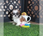 Image preview for Ad Listing. Nickname: Allie