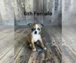 Image preview for Ad Listing. Nickname: 6th Female