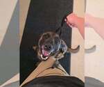 Small #4 Mutt
