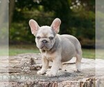 Image preview for Ad Listing. Nickname: Daphne