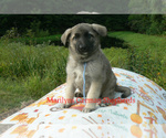 Image preview for Ad Listing. Nickname: SweatherWeather