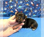 Image preview for Ad Listing. Nickname: Tiny Lane