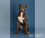 Small #1 Mutt