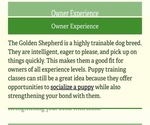 Small #25 Golden Shepherd