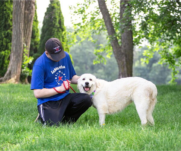 Medium Photo #5 Great Pyrenees Puppy For Sale in Unionville, PA, USA