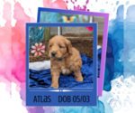 Image preview for Ad Listing. Nickname: Atlas
