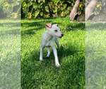 Small #2 Jack Chi