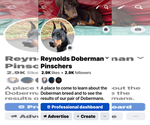 Small #9 Doberman Pinscher