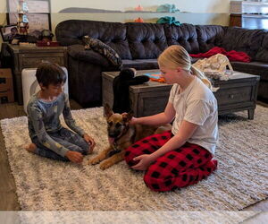 Mutt Dogs for adoption in Stevens Point, WI, USA