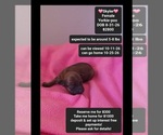 Image preview for Ad Listing. Nickname: Skyler