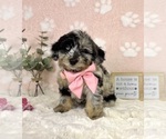 Image preview for Ad Listing. Nickname: Brooklyn