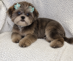 Image preview for Ad Listing. Nickname: Susie