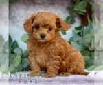Image preview for Ad Listing. Nickname: Lynn