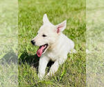 Image preview for Ad Listing. Nickname: Skye