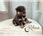 Image preview for Ad Listing. Nickname: Rhea
