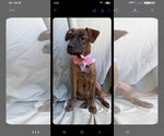 Small #2 Breeder Profile image