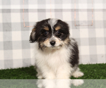 Image preview for Ad Listing. Nickname: Kourtney