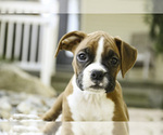 Image preview for Ad Listing. Nickname: Maddie