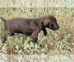 Image preview for Ad Listing. Nickname: Abby