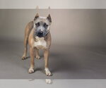 Small #2 Breeder Profile image