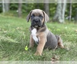 Image preview for Ad Listing. Nickname: Chrome