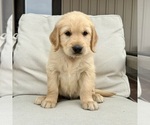 Image preview for Ad Listing. Nickname: Jack