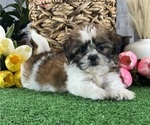Image preview for Ad Listing. Nickname: Starla