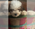 Image preview for Ad Listing. Nickname: Hudson