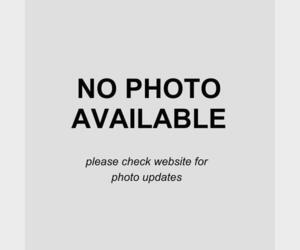 Mutt Dogs for adoption in San Antonio, TX, USA