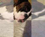 Small #3 Breeder Profile image