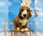 Image preview for Ad Listing. Nickname: Noreen