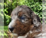 Image preview for Ad Listing. Nickname: Misty