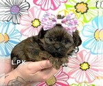 Image preview for Ad Listing. Nickname: Tiny Aspen