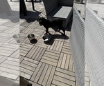 Small #2 Cane Corso