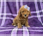 Image preview for Ad Listing. Nickname: Agnes