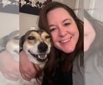 Small #3 Rat Terrier Mix