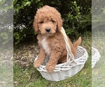 Image preview for Ad Listing. Nickname: Bennet