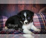 Image preview for Ad Listing. Nickname: Freya