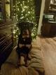 Small Photo #7 Rottweiler Puppy For Sale in POTTSBORO, TX, USA