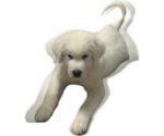 Small #13 Chihuahua-Chow Chow Mix