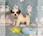Small #4 Mal-Shi