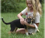 Small #10 Mutt