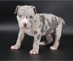 Image preview for Ad Listing. Nickname: Ezra