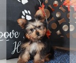 Image preview for Ad Listing. Nickname: Sherlock