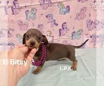 Image preview for Ad Listing. Nickname: Mini Bitsy Blue