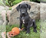Image preview for Ad Listing. Nickname: Eloise