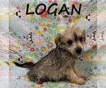 Image preview for Ad Listing. Nickname: Logan